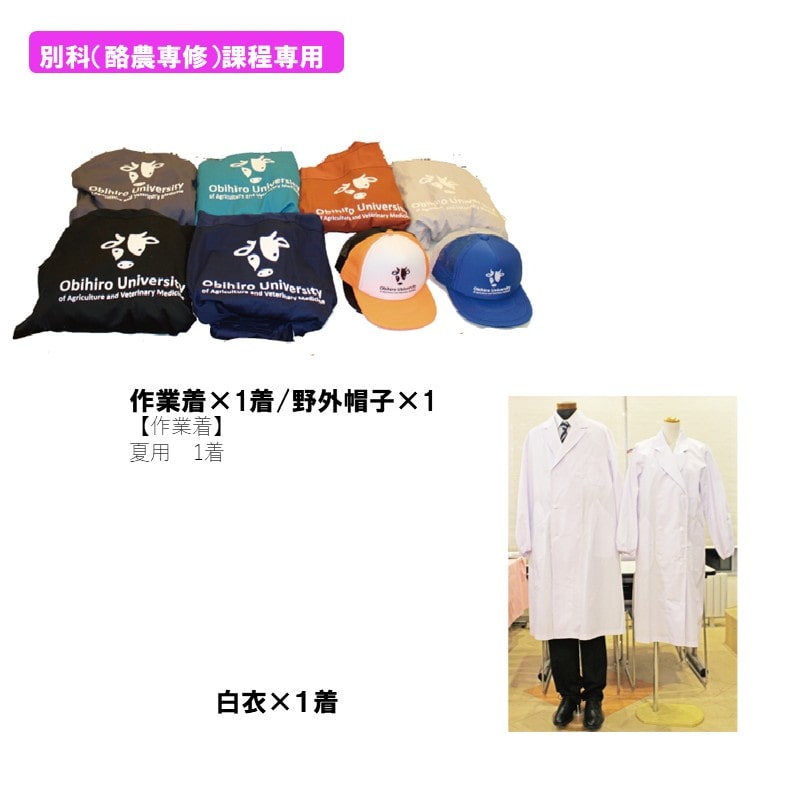 別科専用　ツナギセット