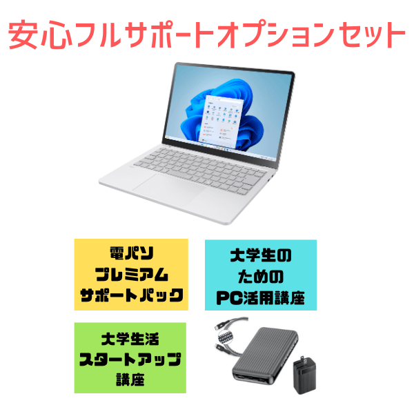 電パソ　NEC LAVIE SOL 安心フルサポートオプションセット