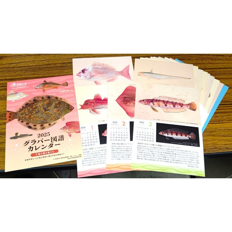 2025グラバー図譜カレンダー（4月始まり）